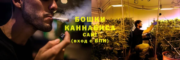 молекула духа Лабытнанги