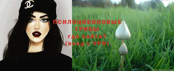 PSILOCYBIN Липки