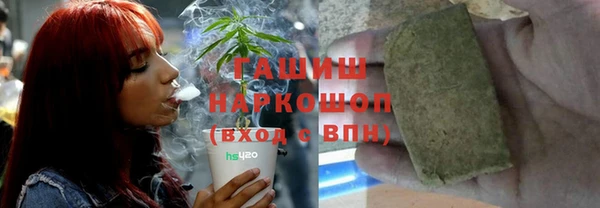 молекула духа Лабытнанги