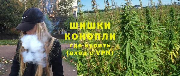 молекула духа Лабытнанги