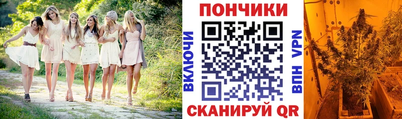 Каннабис AK-47 Нытва